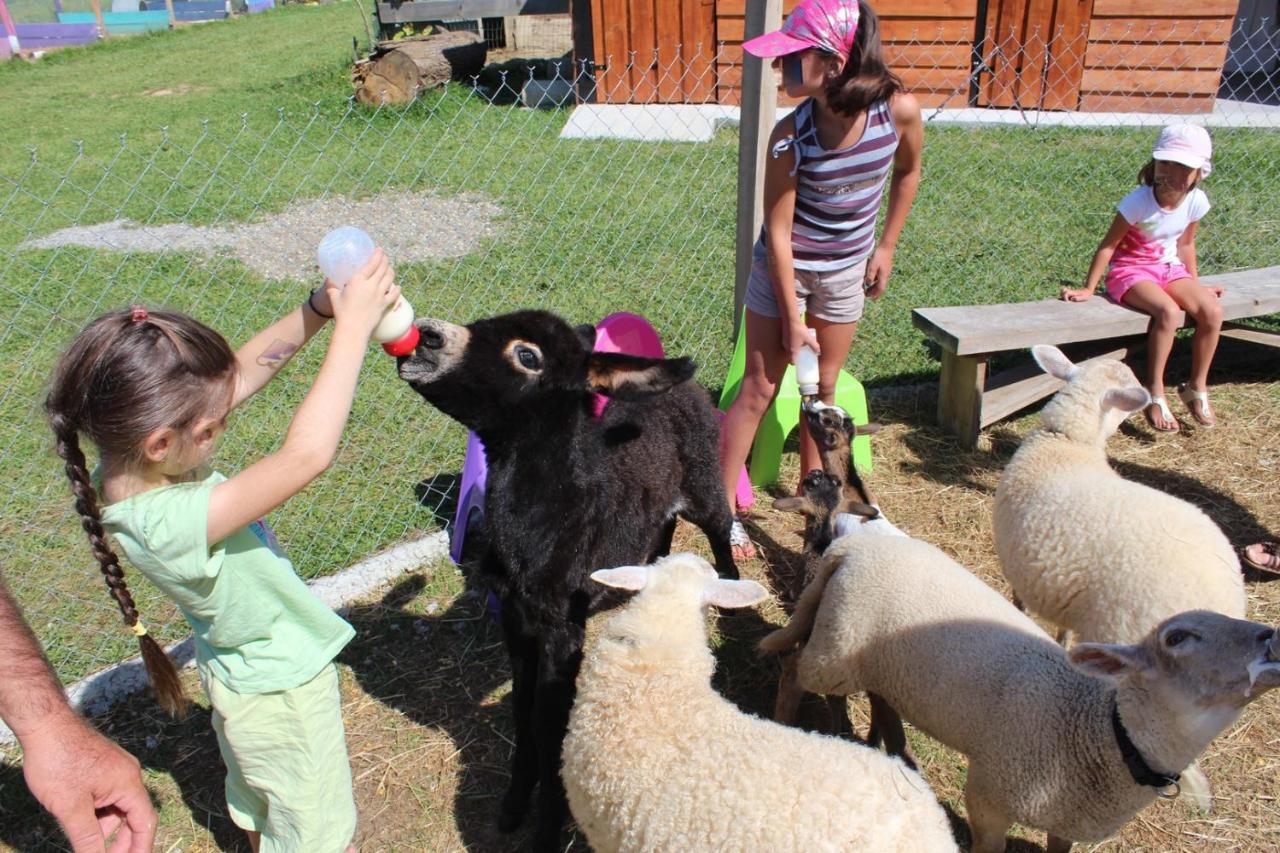La Petite Ferme De Pouillon - Parc Animalier - Aire De Loisirs Bed and Breakfast Buitenkant foto