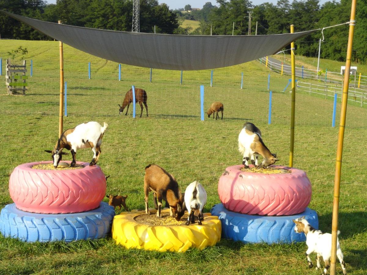 La Petite Ferme De Pouillon - Parc Animalier - Aire De Loisirs Bed and Breakfast Buitenkant foto